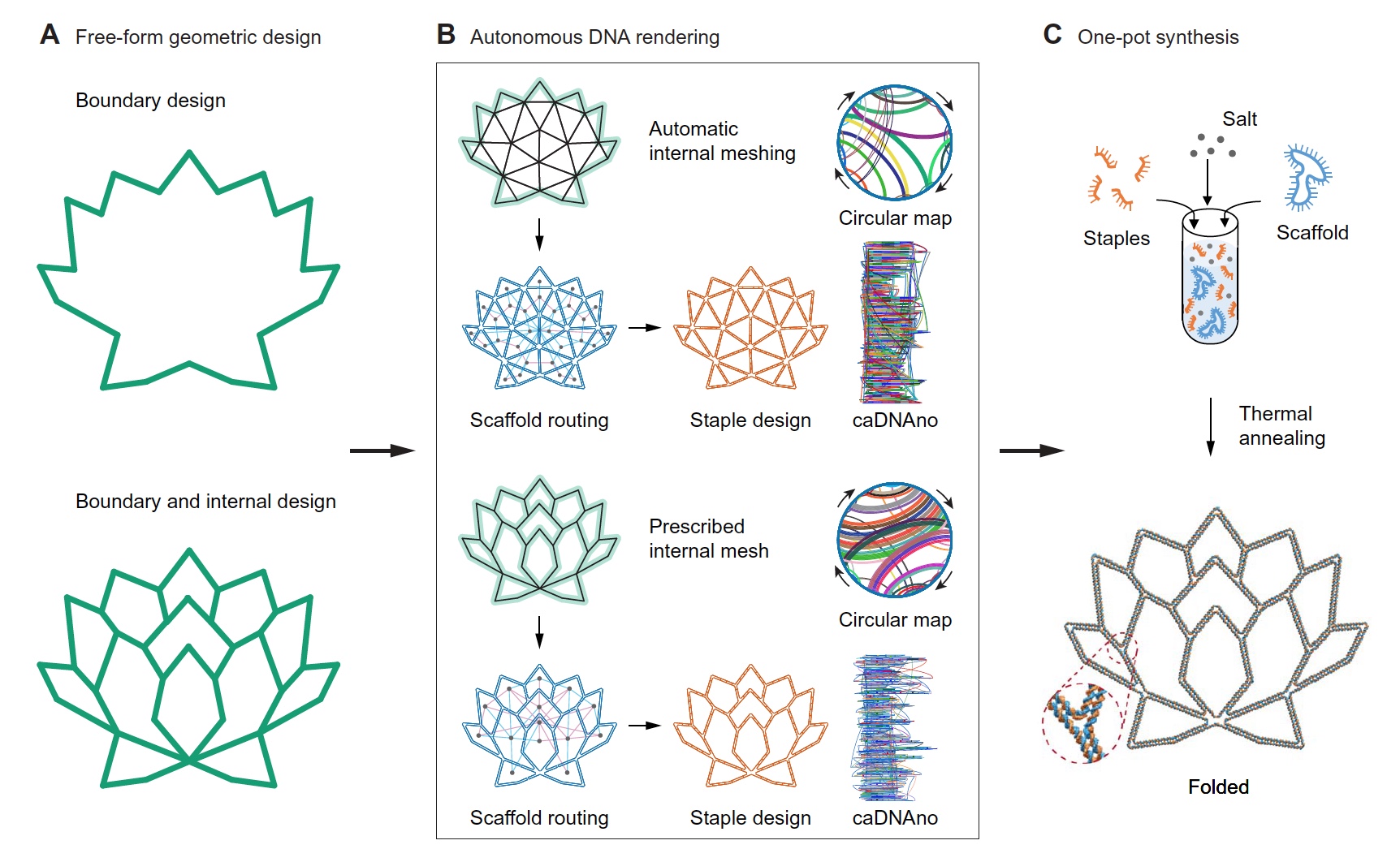 PERDIX: алгоритм автоматического проектирования ДНК-оригами разной геометрии - 2