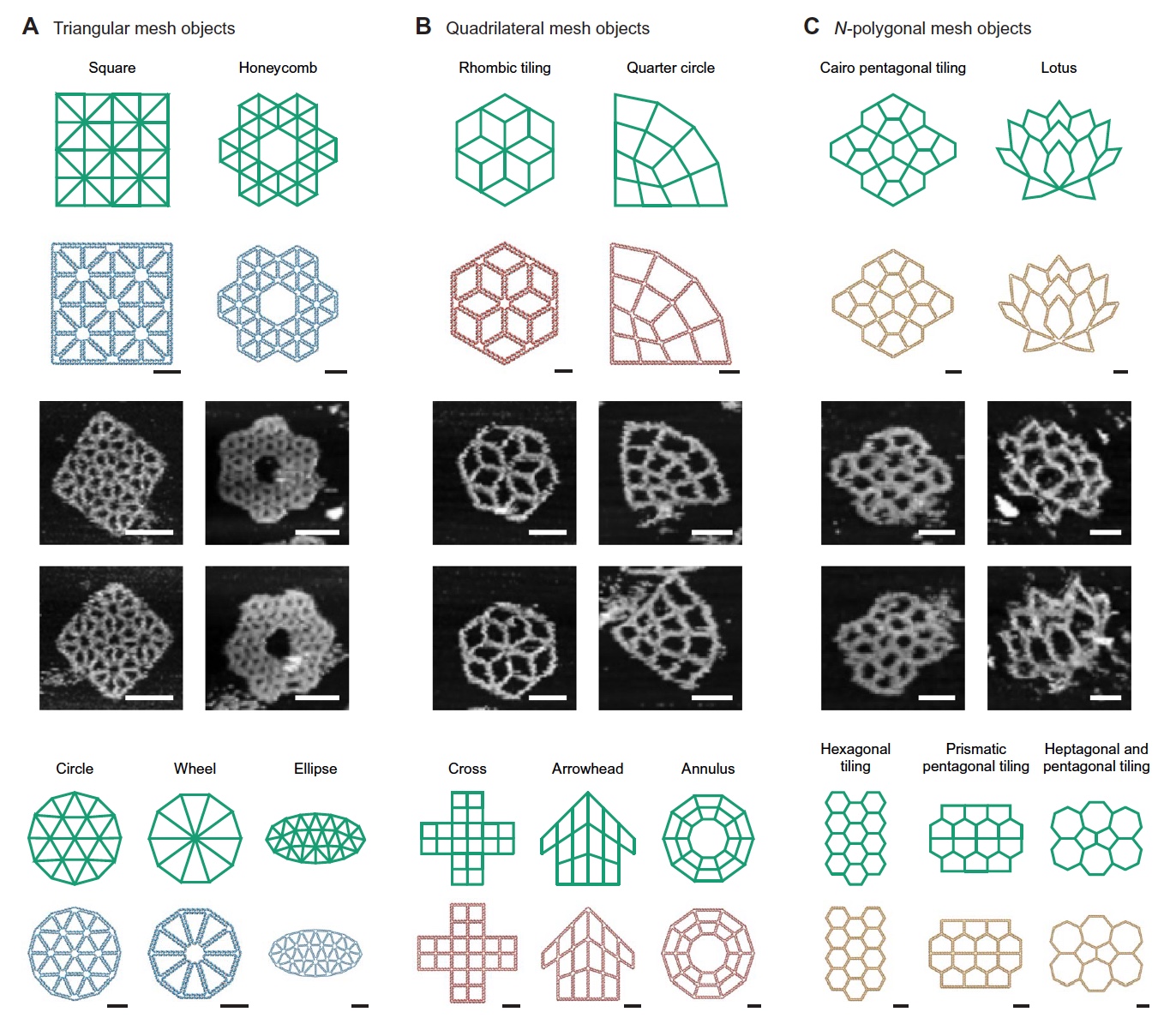 PERDIX: алгоритм автоматического проектирования ДНК-оригами разной геометрии - 5