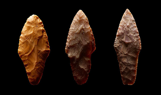 В Подмосковье обнаружили некрополь возрастом 4,5 тысячи лет