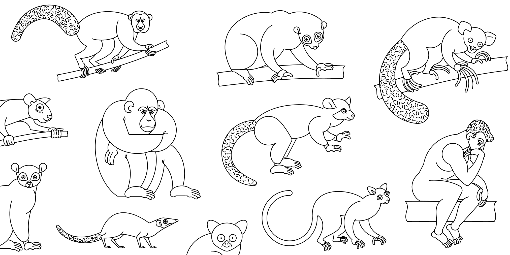 Визуализация дерева приматов