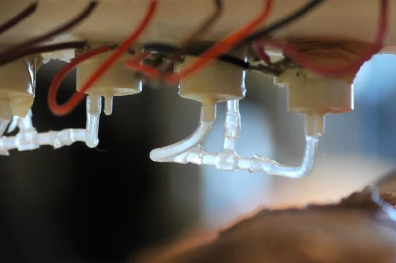 Инженеры из WFIRM изобрели биопринтер, печатающий кожу прямо на ране - 1
