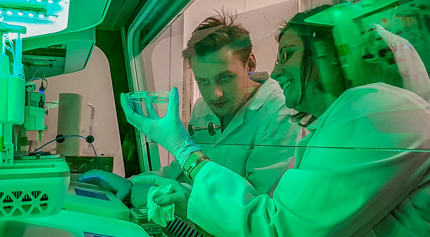 Польские учёные напечатали первую в мире бионическую поджелудочную железу с сосудами - 3