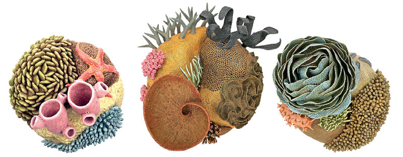 Коралловые рифы Кортни Маттисон: невероятно прекрасное вымирание