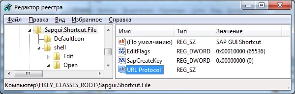 Запуск SAP GUI из браузера - 2