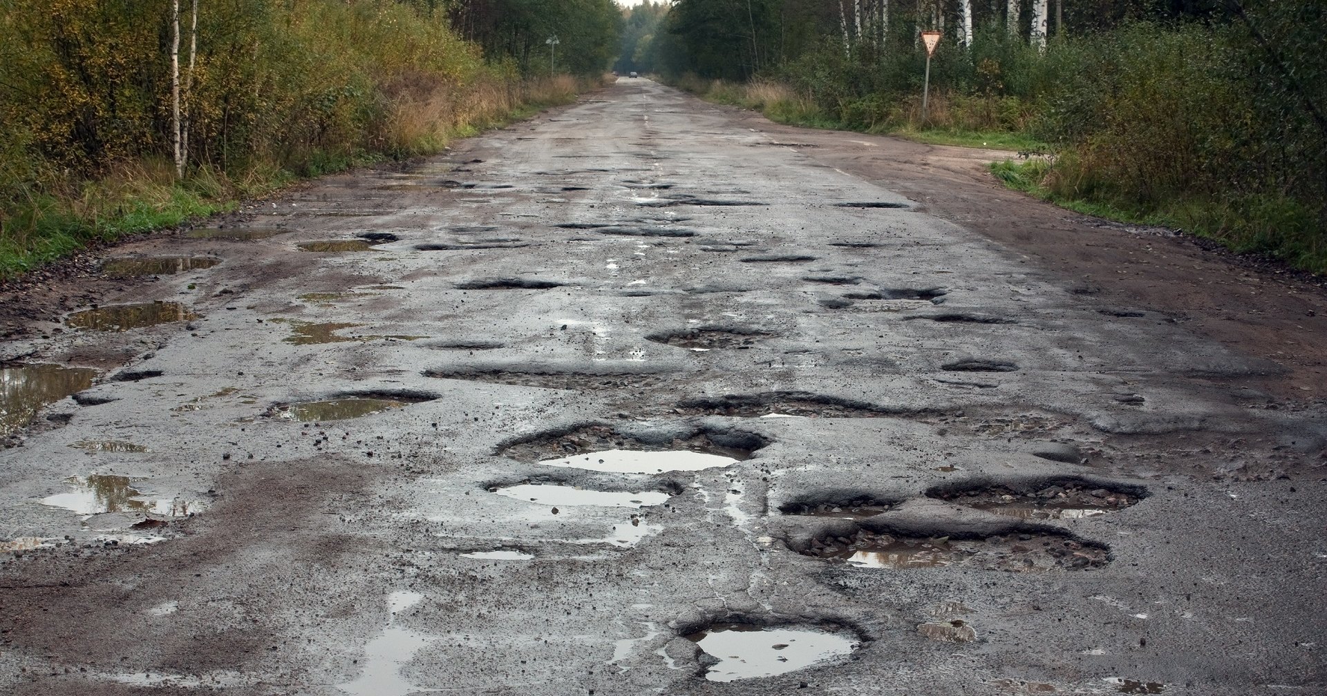 Бактерии помогут сделать автодороги лучше