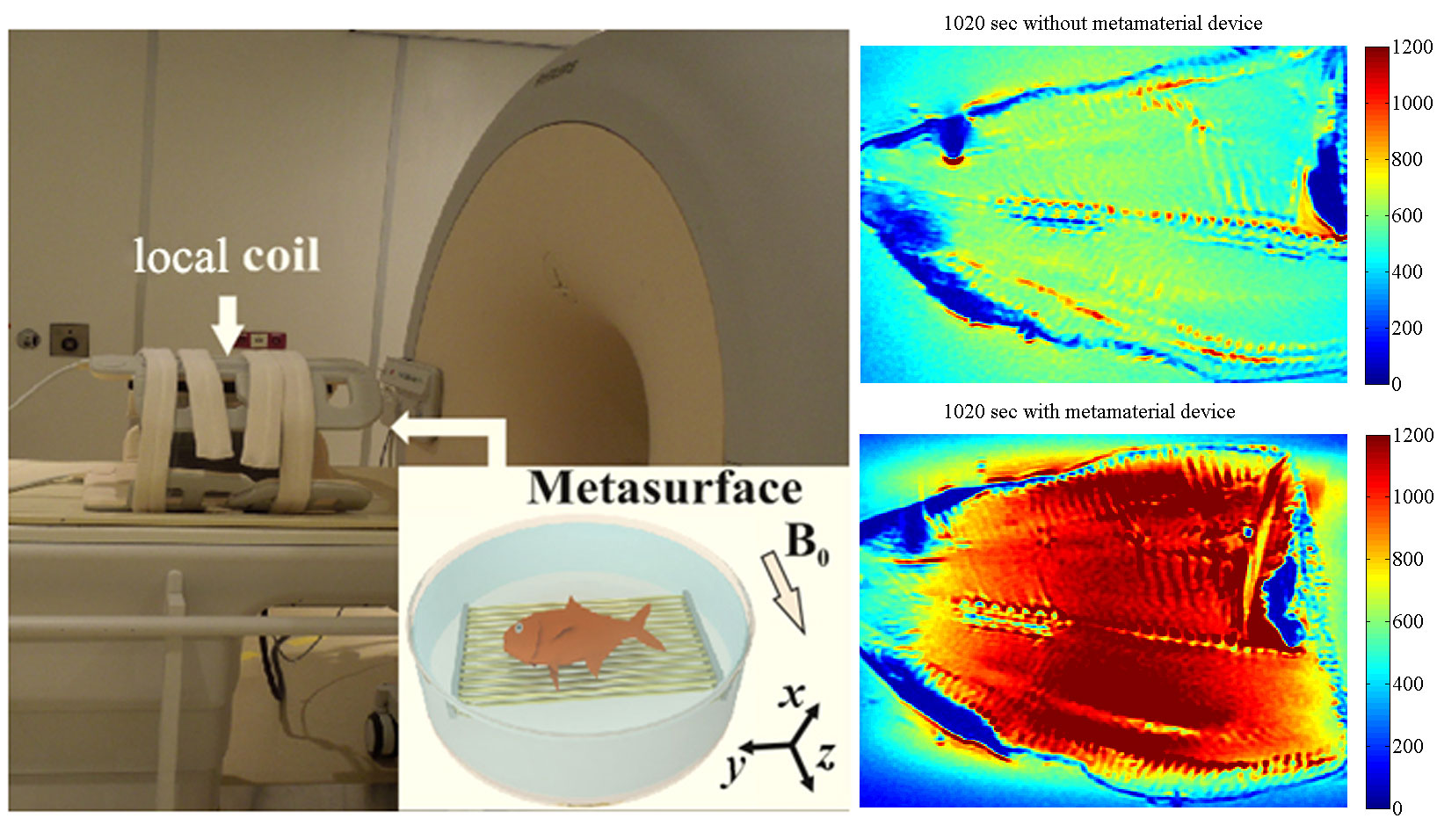 Разбираем магнитно-резонансный томограф II: Метаматериалы в МРТ - 2