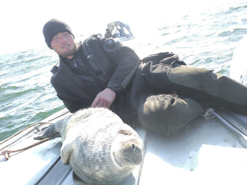 Детеныш балтийского тюленя забрался в лодку к рыбакам