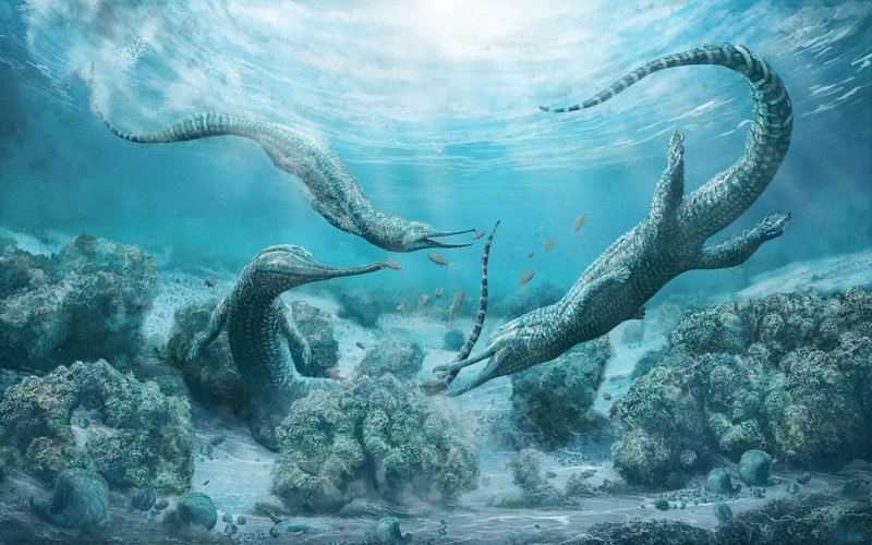 Описан огромный морской хищник, живший 210 млн лет назад