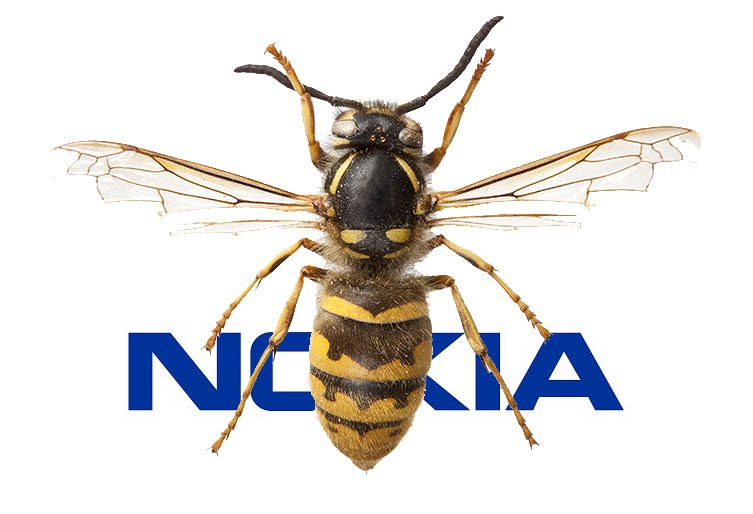 Nokia покажет свою «Осу» уже 6 июня
