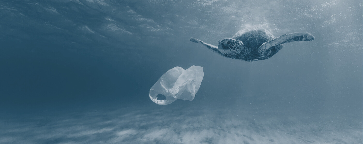 Пластиковые волны: экологическая катастрофа Мирового океана - 1