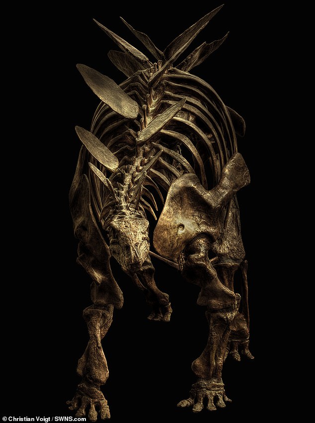 Потрясающая подборка фотографий скелетов динозавров «взорвала» Сеть