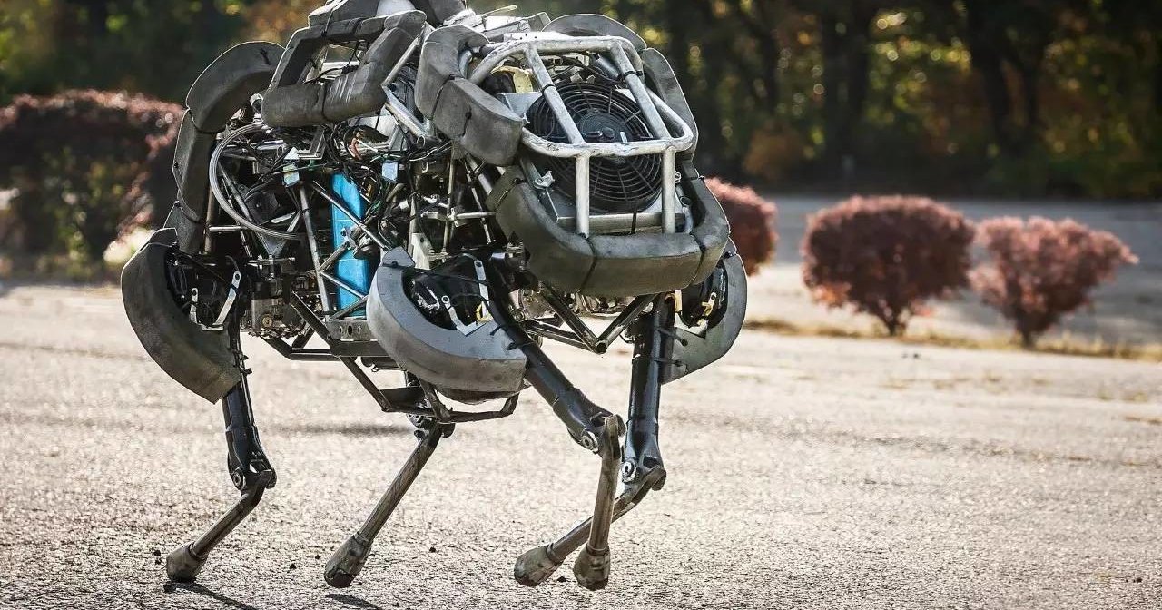 Как собака реагирует на робота Boston Dynamics