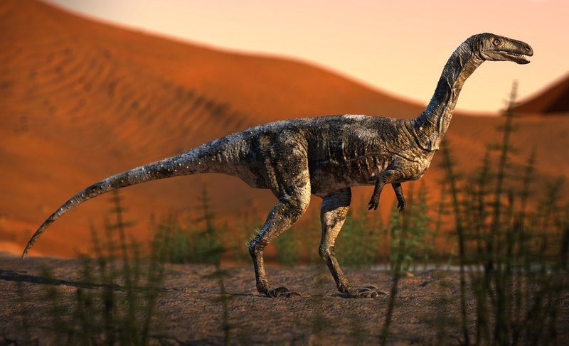Описан ранее неизвестный небольшой хищный динозавр