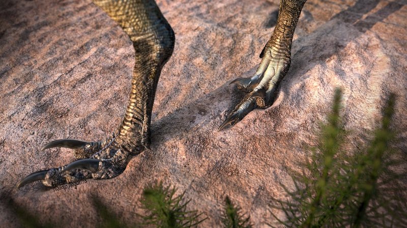 Описан ранее неизвестный небольшой хищный динозавр