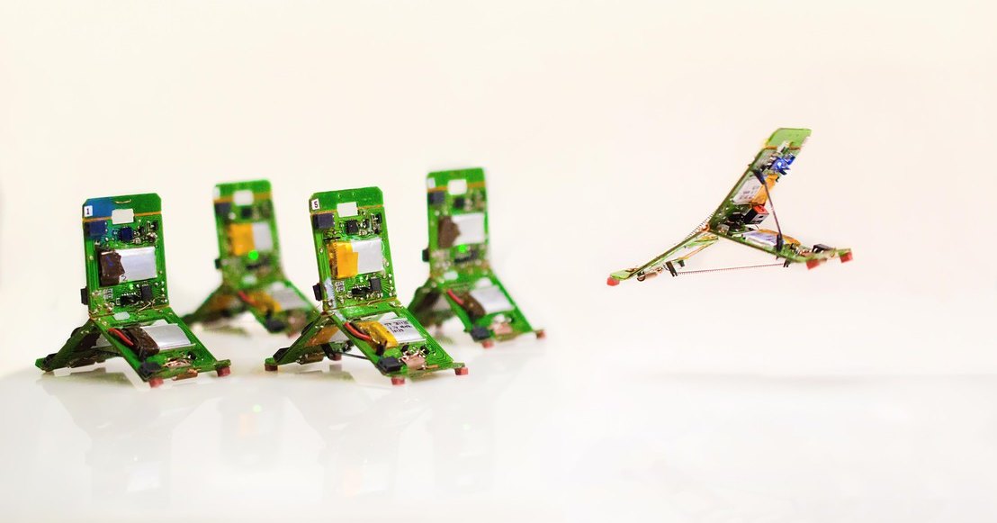 Прыгающие роботы-муравьи работают в команде для преодоления препятствий