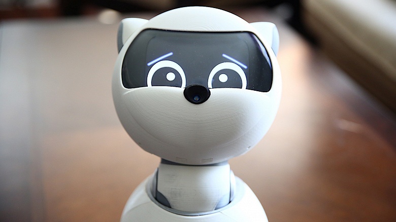 Kiki &mdash; настольный робот-компаньон, который стоит 1500 долларов, но не может сдвинуться с места