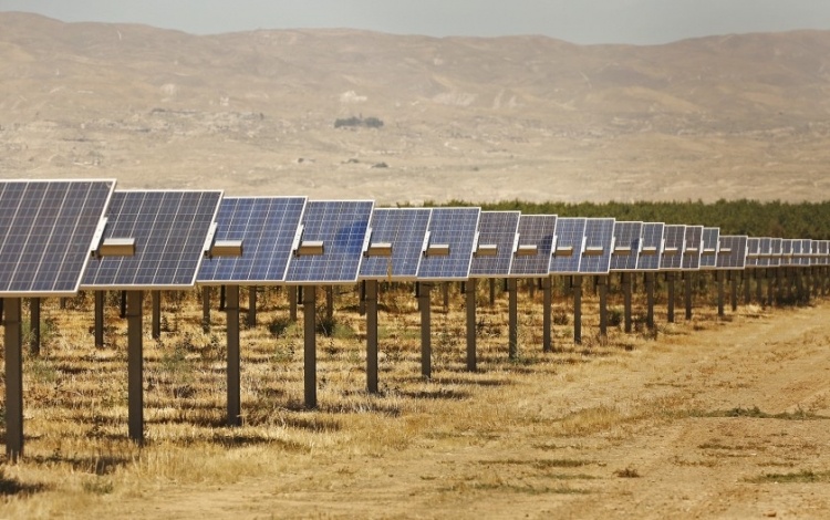 Калифорнийские фермеры устанавливают солнечные батареи из-за сокращения запасов воды и сельхозугодий