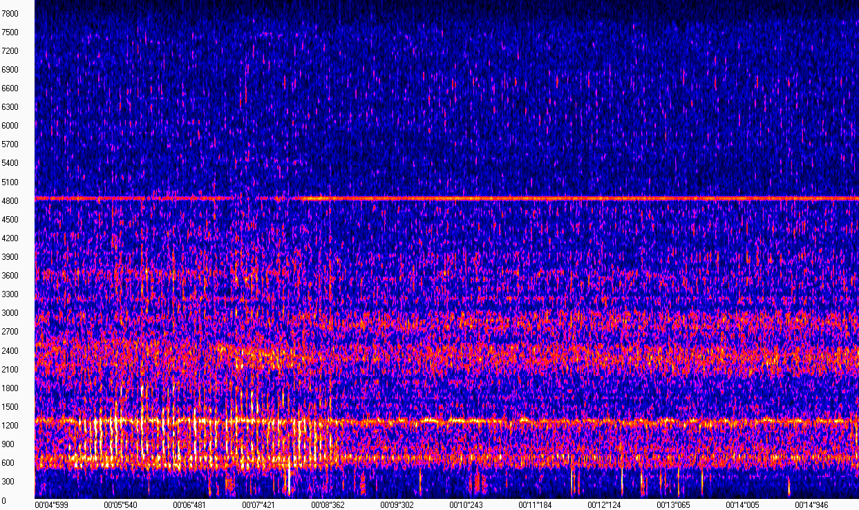начальный фрагмент спектрограммы сигнала