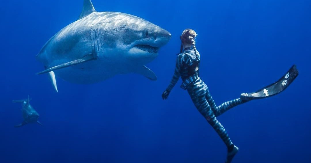 Красивая девушка и акула-людоед: вместе в океане