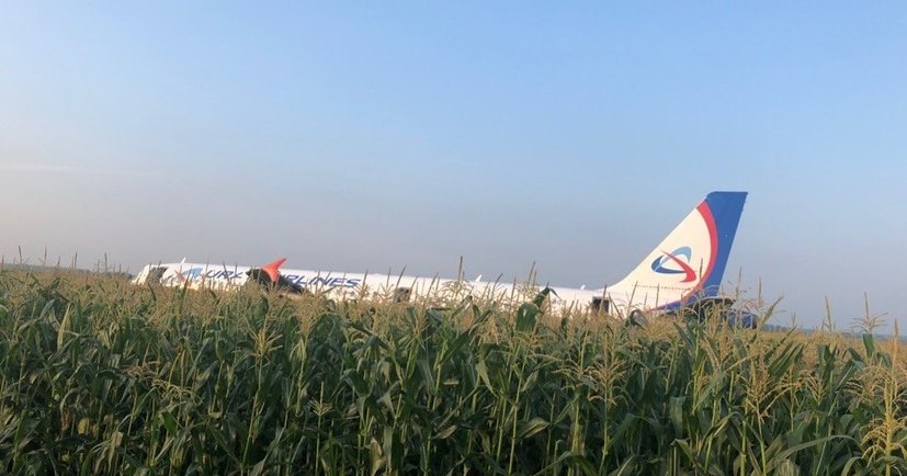 Airbus A321 совершил жёсткую посадку в кукурузном поле Подмосковья