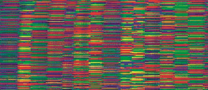 Умер нобелевский лауреат Кэри Муллис — изобретатель полимеразной цепной реакции ДНК - 4