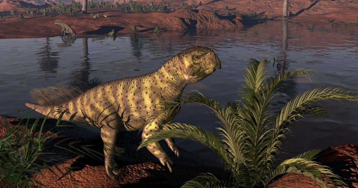 Четвероногие динозавры могли с возрастом переходить к двуногости
