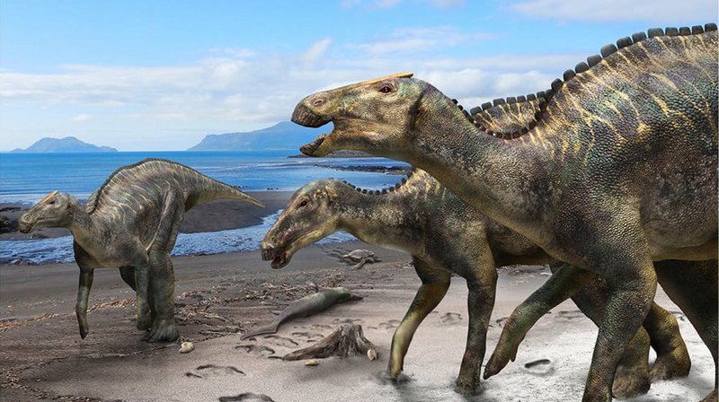 Обнаружен ранее неизвестный гадрозавр