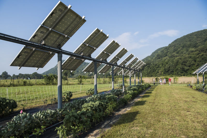Сельское хозяйство и солнечные панели — win-win стратегия для энергетиков и фермеров - 1