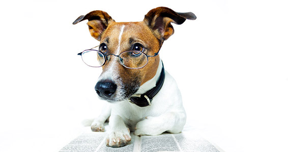 Подборка психологических и нетипичных технических вопросов с собеседований Java-разработчика - 3 Подборка психологических и нетипичных технических вопросов с собеседований Java-разработчика - 3