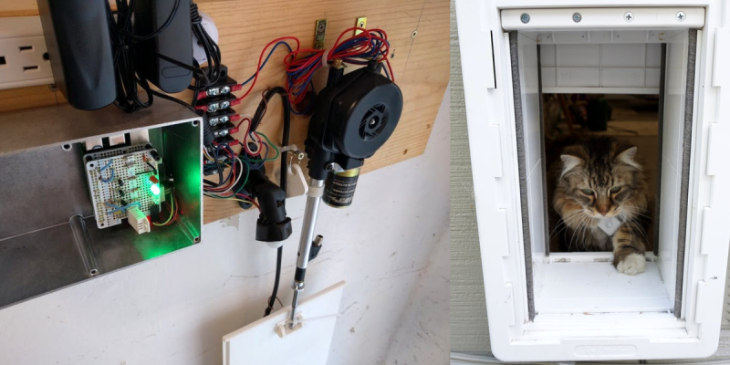 Разработчик создал дверь для кошки, которая пускает в дом только зверей с Bluetooth-пропуском - 1 Разработчик создал дверь для кошки, которая пускает в дом только зверей с Bluetooth-пропуском - 1