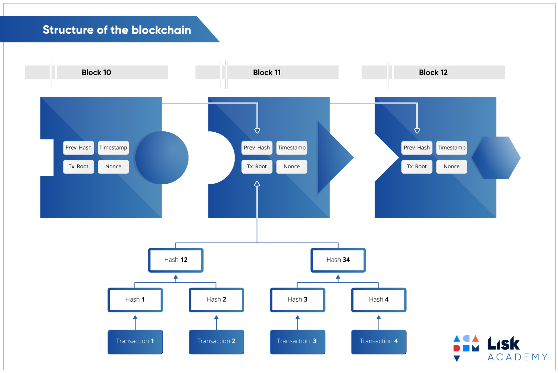 Как работает децентрализованный мессенджер на блокчейне - 5