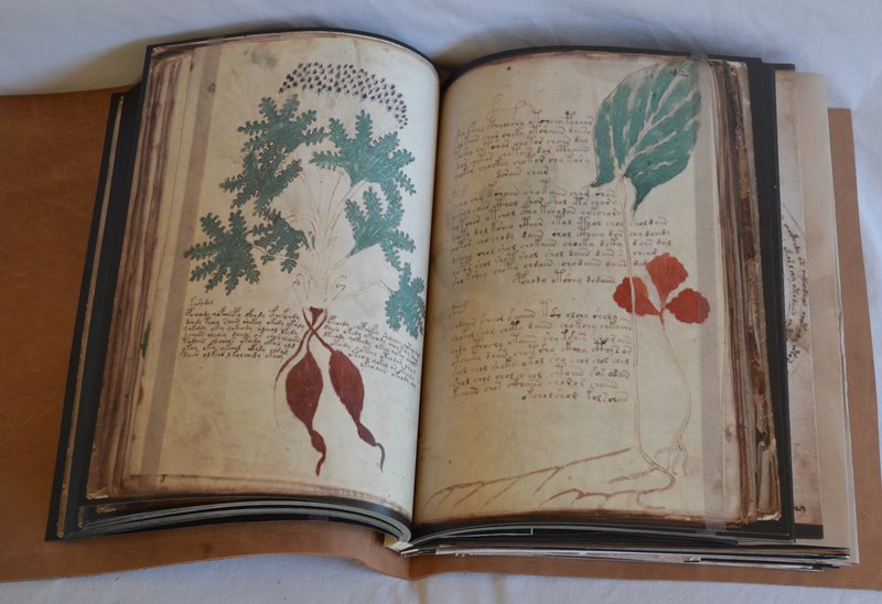 «Манускрипт Войнича»: таинственная книга на неизвестном языке
