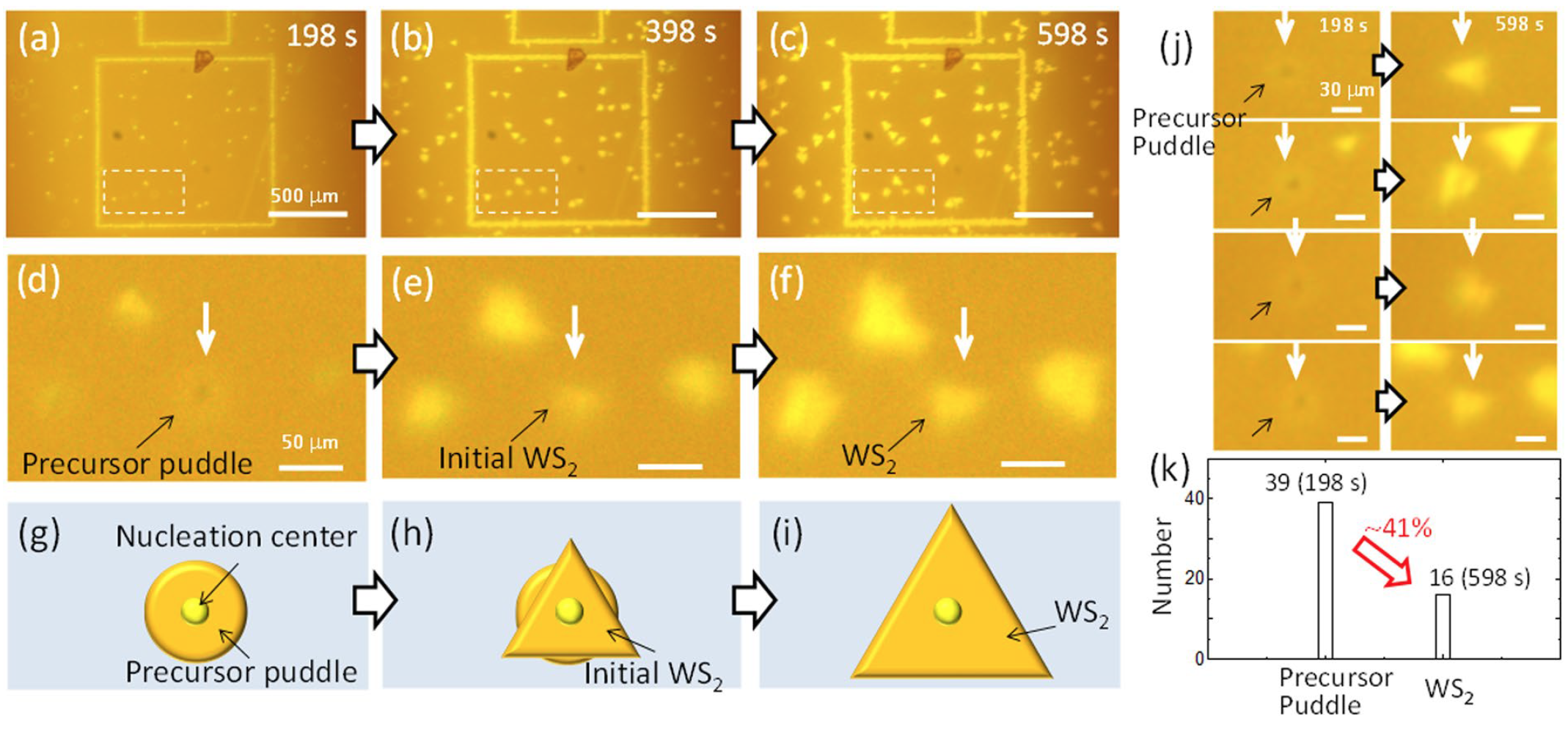 Дихалькогениды переходных металлов: раскрытие секретов динамики роста кристаллов WS2 - 5