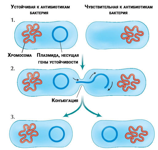 Суперинфекции 2: рубикон проблем, фиаско технологий и новая надежда - 3