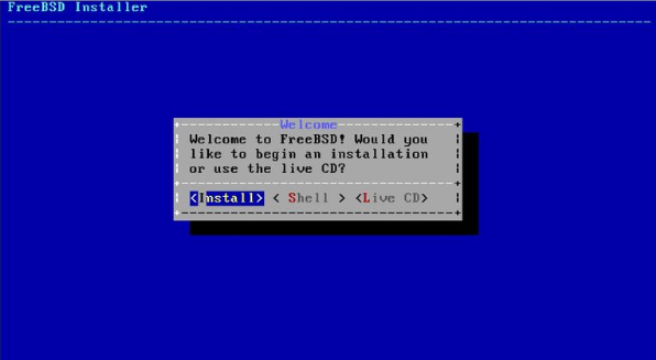 Гипервизор на стероидах: FreeBSD + ZFS + cbsd - 1
