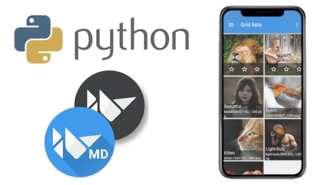 Разработка мобильных приложений на Python. Библиотека KivyMD - 1