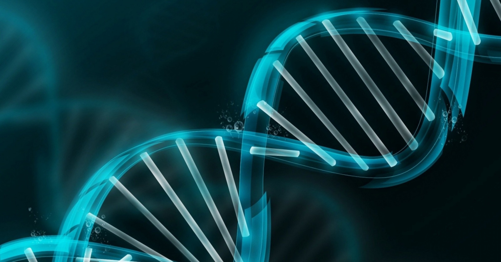Гарвардский генетик создаст программу для знакомств по ДНК