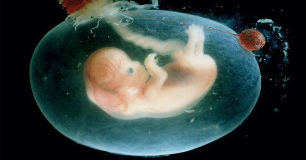 Организм человека стареет с момента зачатия: новое исследование