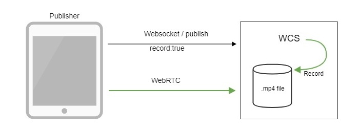 Обзор WCS 5.2 — WebRTC сервера для веб-разработчиков онлайн трансляций и видеочатов - 14