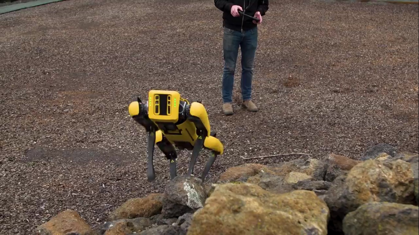 Адам Севидж начал годовое тестирование робота Boston Dynamics Spot на YouTube-канале Tested - 11