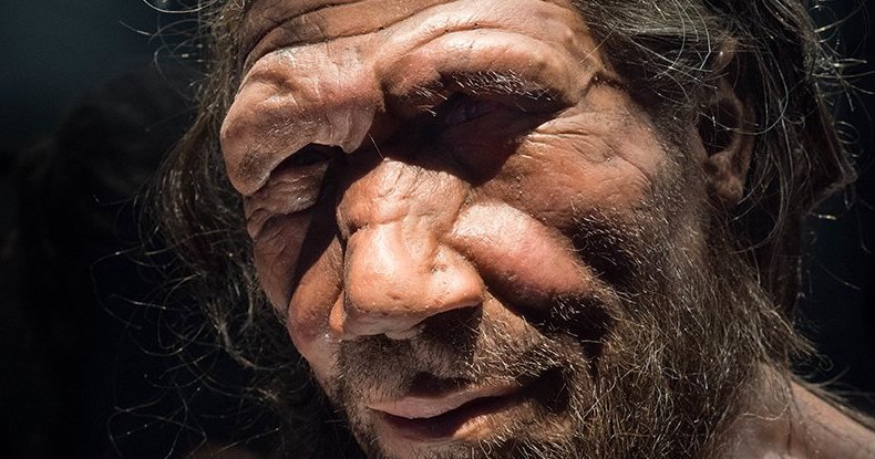 В геноме африканцев найдены гены неандертальцев: тайны прошлого