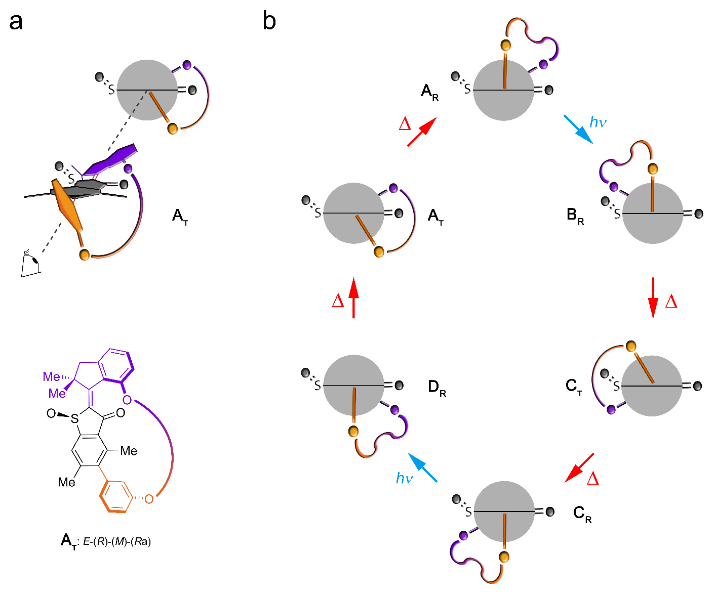 Синхронное фуэте: биологические моторы в нанотехнологиях - 6