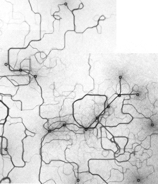 Рисуем муравьями: процедурные изображения при помощи алгоритмов оптимизации муравьиной колонии - 3
