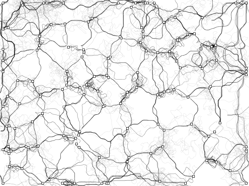 Рисуем муравьями: процедурные изображения при помощи алгоритмов оптимизации муравьиной колонии - 1