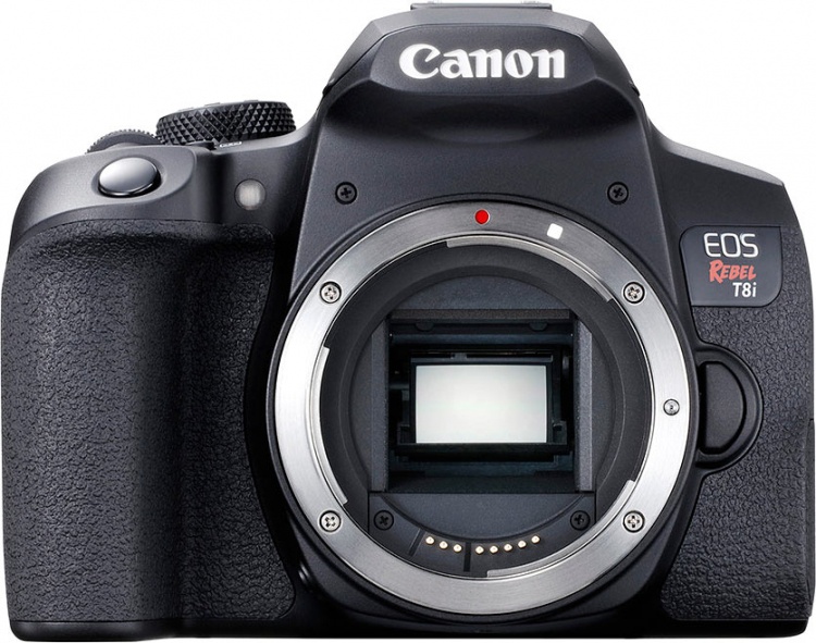 Canon представила зеркалку 850D с обновлённым автофокусом и видео 4K