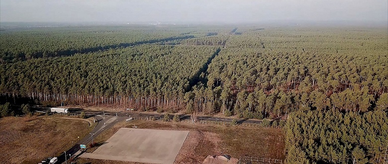 Tesla всё же уничтожит 92 га леса для постройки своего завода