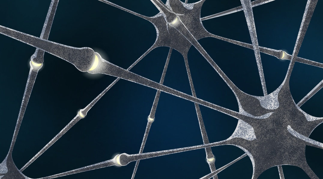 Живые и искусственные нейроны связали через интернет - 1