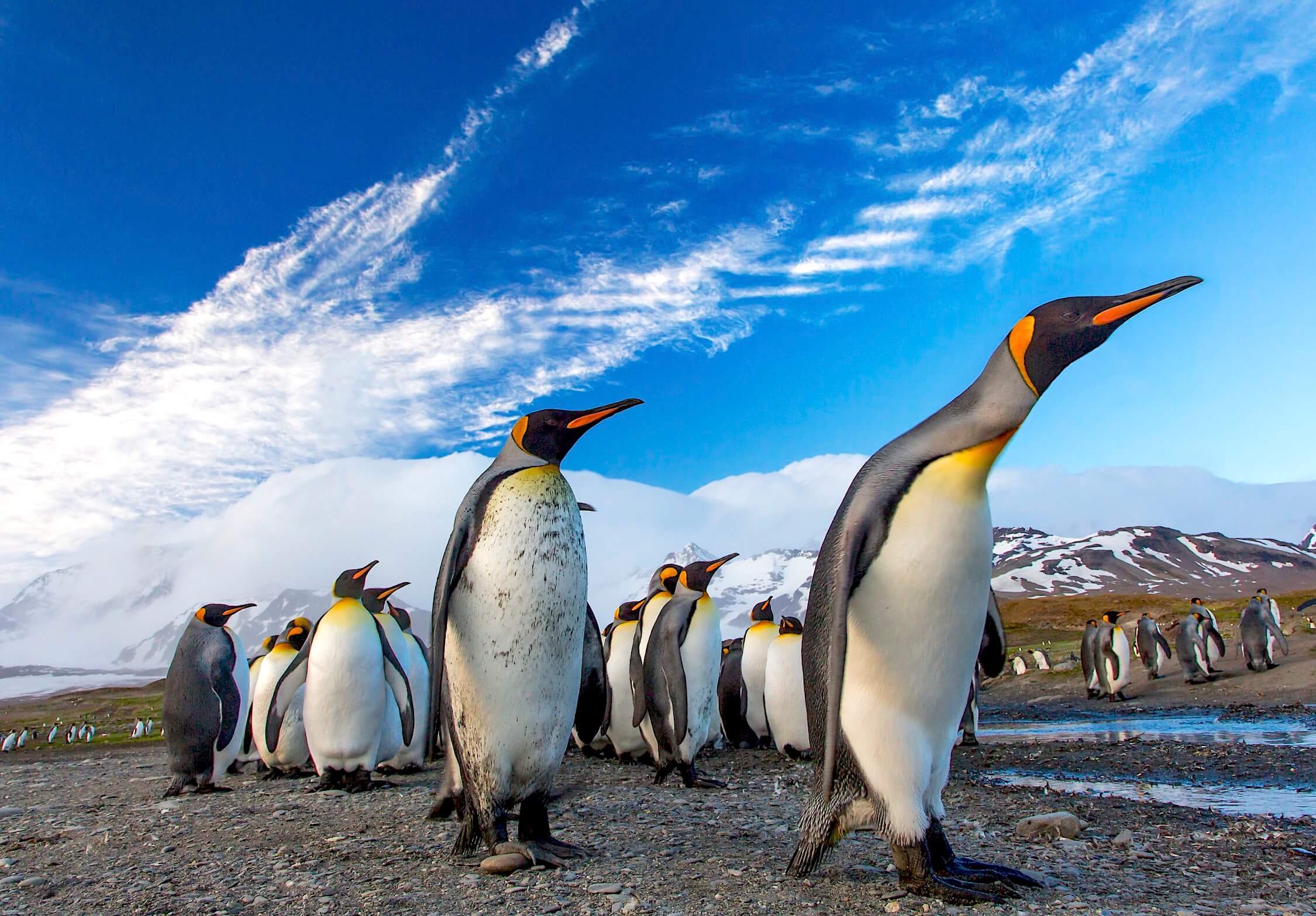 Технологии для вычислений: от телефонов «только для звонков» до облака и суперкомпьютеров на Linux - 2 Технологии для вычислений: от телефонов «только для звонков» до облака и суперкомпьютеров на Linux - 2