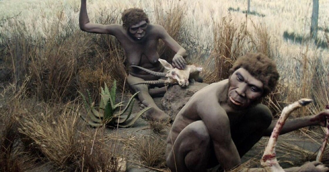 Homo erectus имели способность к развитию