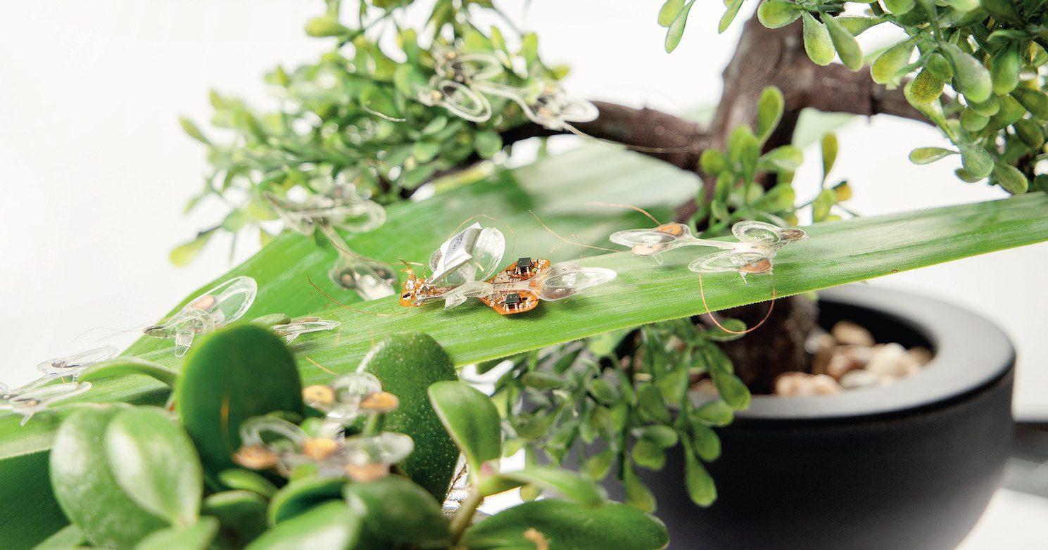Жук против мухобойки: как выглядят насекомые-роботы